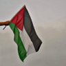 #غزة_العزة🔻 🇵🇸's profile picture