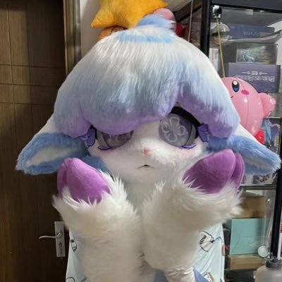 Ccupcat's profile picture