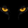 Lou65's profile picture