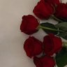 عاشقة الوورد🌹 的头像