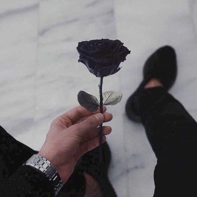 TunNguy95593783's profile picture