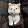 Profilbild von わんこのあしあと🐾