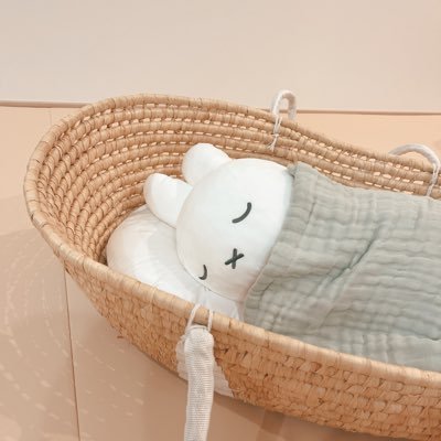 tmmm_miffy's profile picture