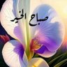 Profilbild von محمد احمد