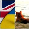 MICHAEL&SIRS 🇬🇧🇮🇱🇺🇦🇺🇲 Infinity&BeyondKCJ💖's profile picture