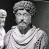 Profilbild von Marcus Mavlerus