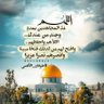 صالح القميشي's profile picture