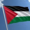 Mohamed Mohamed's profile picture