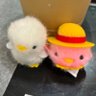 猫目(ΦωΦ) 的头像