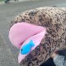 おおさんしょううお 的头像