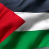 مروى محمد's profile picture