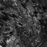 Фото профиля OreoK1d⚔︎