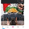 ابوعلى 的头像