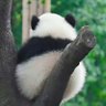 挽陽 profil fotoğrafı