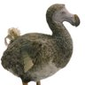 Kritischer Beobachter's profile picture
