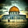 Profilbild von M Abid