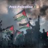 Фото профиля 🇵🇸 Mohammed AlShaikh