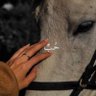 نــان♡🇸🇦's profile picture