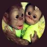 Profilbild von Felipe Jurado D
