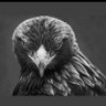 Nart Kartal ◼️◻️ profil fotoğrafı