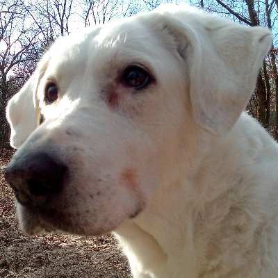 datawrangler2's profile picture