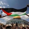 Profilbild von 🔻🇵🇸@Rayan@🇵🇸🔻
