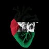 Profilbild von Mohamed Medhat Hegazi
