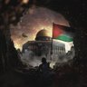 Hamdy Alosh's profile picture