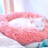 ゆーこ^._.^ 的头像