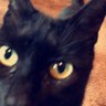 Profilbild von Cornelius G