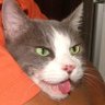 Profilbild von 大雅