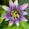 Фото профиля Helen allm0ther