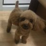 高さん 的头像
