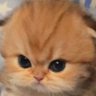 TMS's profile picture