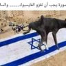 الرايق profil fotoğrafı