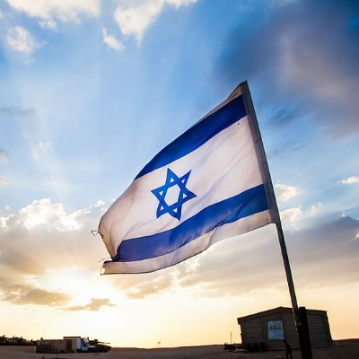 AvniItamar's profile picture