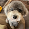 空âacchinðð¢ð§ððŠ's profile picture