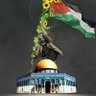 محمد عبدالله's profile picture