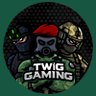 Фото профиля TWiG GAMING 🎮