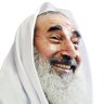 محمود الكيلاني's profile picture