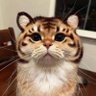 Profilbild von 何利鑫