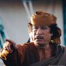 Bile Abdirahmaan 的头像