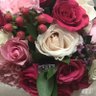 Фото профиля سحر ناصرالخرافي