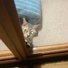 ぞのまる profil fotoğrafı