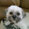 David G's profile picture