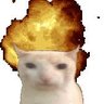 TuTy 的头像