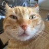 Фото профиля Willian