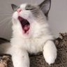 F's profile picture