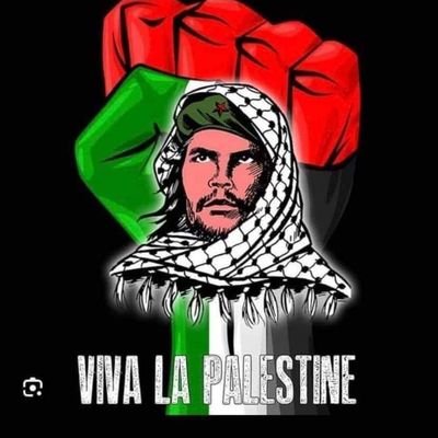 Mollie Malone 🇮🇪's profile picture