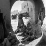 🇵🇸 PALGERIE 🇩🇿 profil fotoğrafı